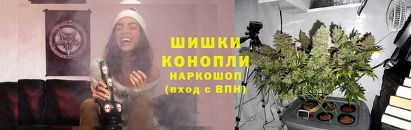 крисы Ельня