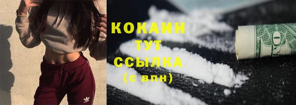 крисы Ельня