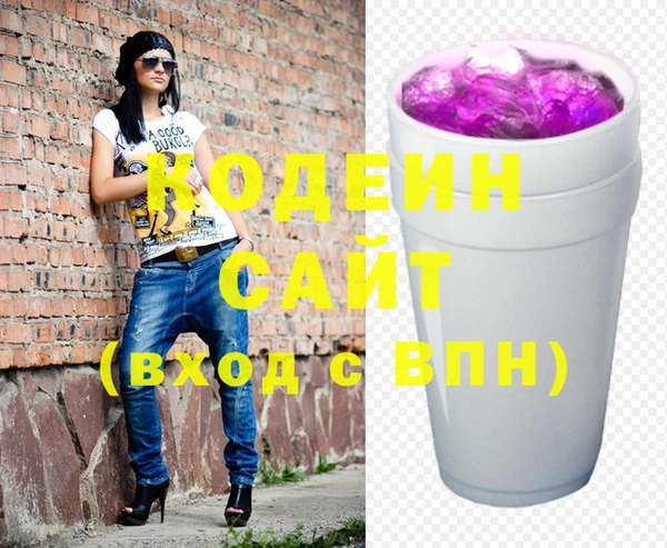 крисы Ельня