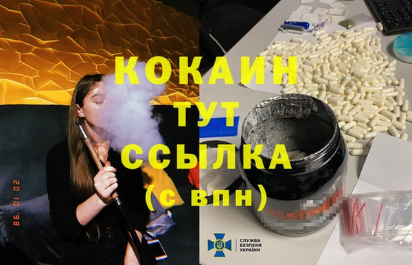 крисы Ельня