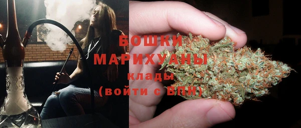 крисы Ельня