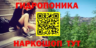 стаф Лесосибирск