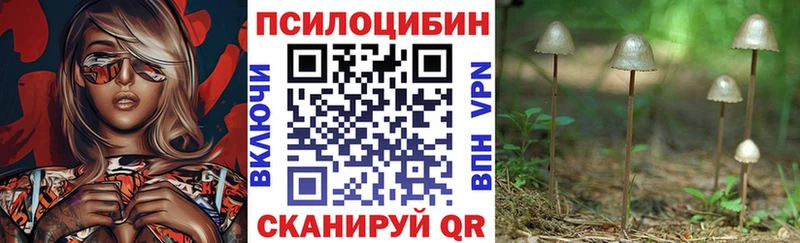 Псилоцибиновые грибы Magic Shrooms  Звенигород 