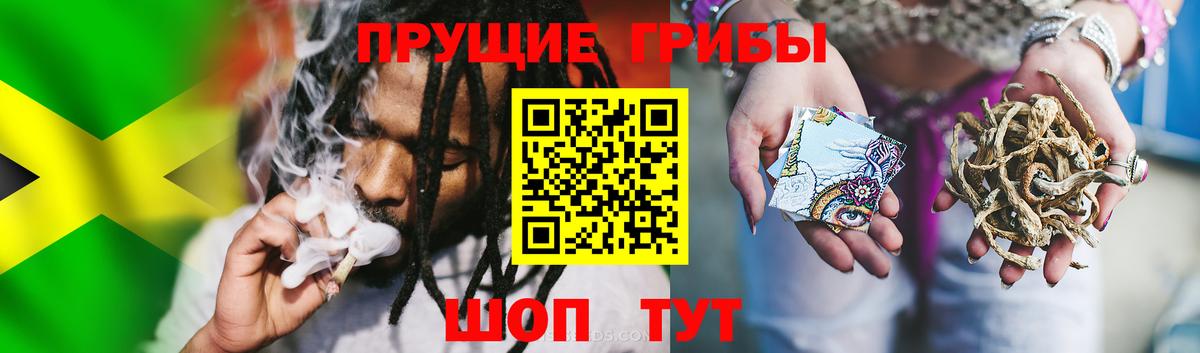 даркнет сайт  Галлюциногенные грибы мицелий  Вход с VPN  Звенигород 